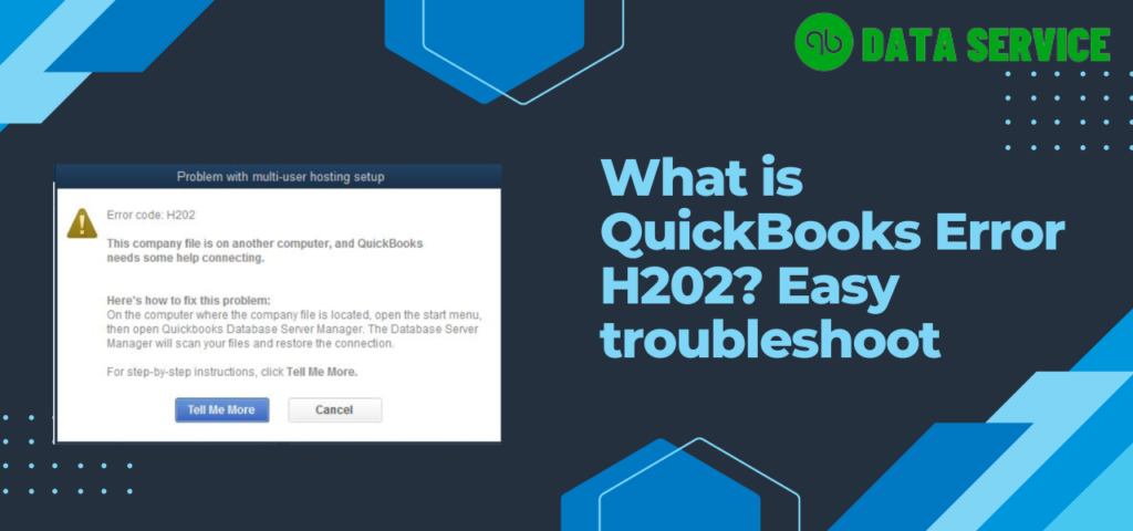 QuickBooks 2023 Error H202
