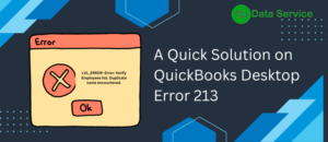 QuickBooks rebuild Error 213