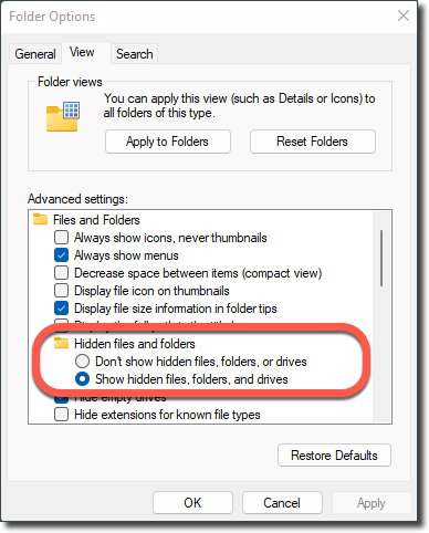 Show Hidden Files in Windows